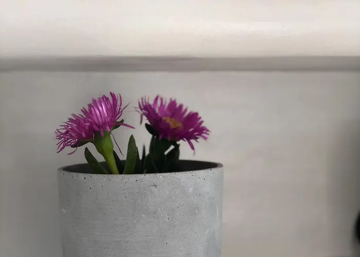 Harmony Luxury Naxos *