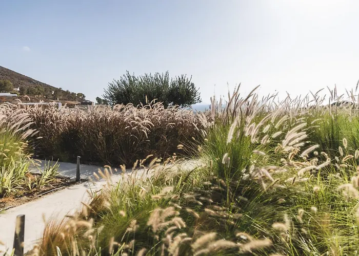 Casa de Férias Harmony Luxury Naxos *