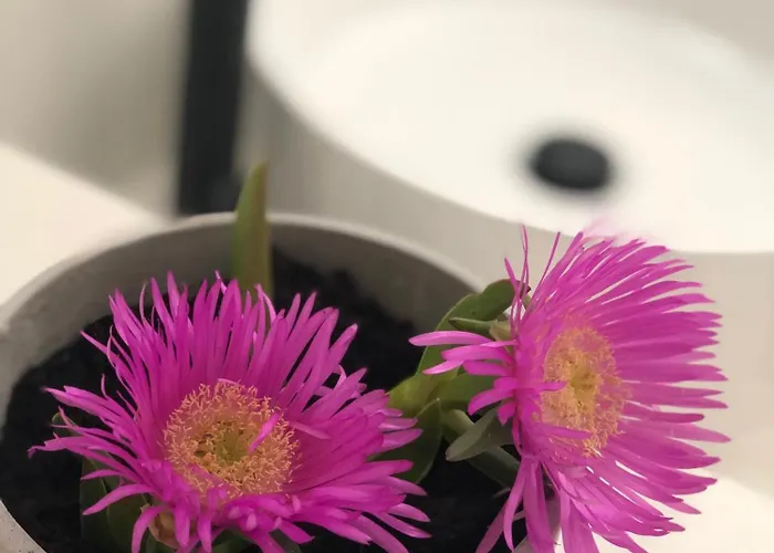 Casa de Férias Harmony Luxury Naxos *