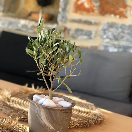 Harmony Luxury Naxos Prázdninový dům *