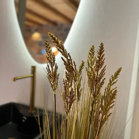 Hébergement de vacances Harmony Luxury Naxos *