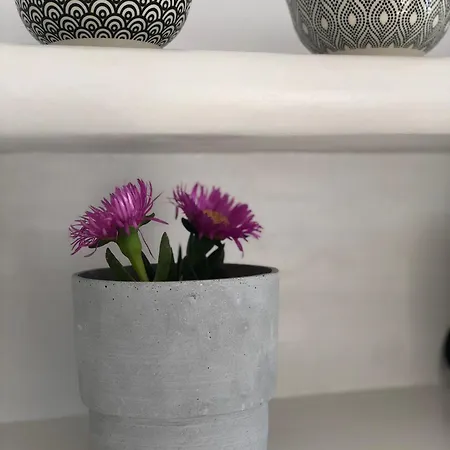 Harmony Luxury Naxos *