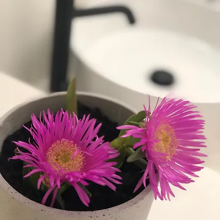 Сasa de vacaciones Harmony Luxury Naxos *