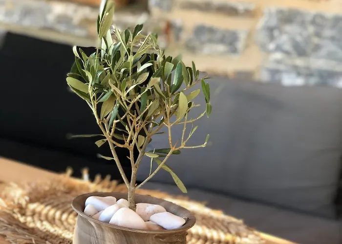 Harmony Luxury Naxos Дом отдыха *