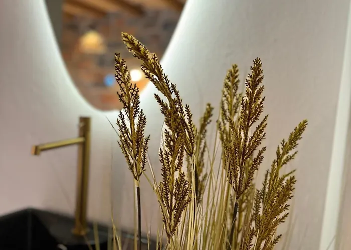 Дом отдыха Harmony Luxury Naxos *